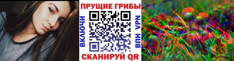 маркетплейс состав  Себеж  Псилоцибиновые грибы MAGIC MUSHROOMS 